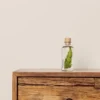 L'Herbarium Argyrea - plante immergée